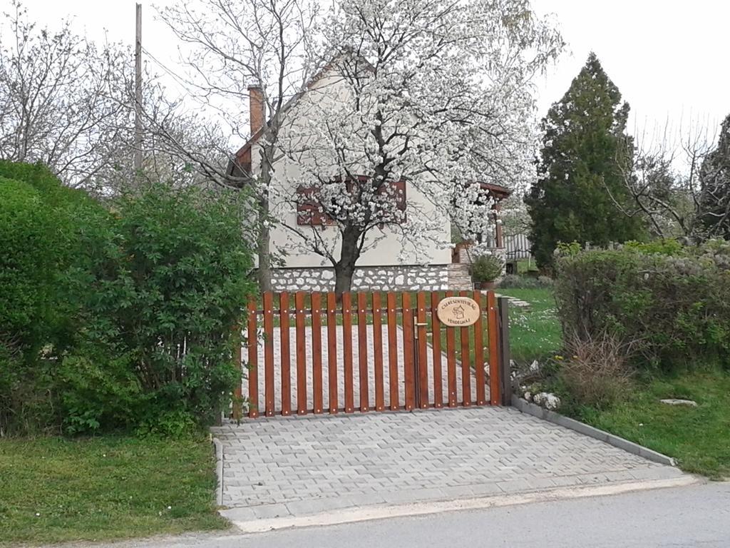 Cseresznyevirág Vendégházak Kovagoszolos Quarto foto